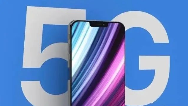 阜龙乡苹果手机维修分享iPhone12 pro怎么显示5G 